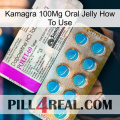 Kamagra 100Mg Oral Jelly How To Use new07